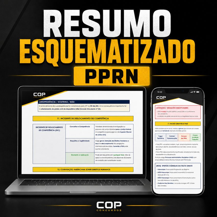 Resumo Esquematizado PPRN